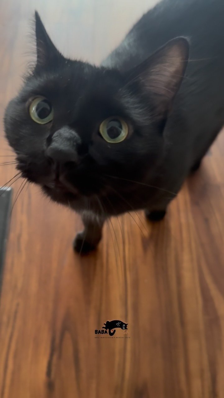 Baba looking up with wide eyes